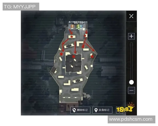 和平精英战术分析：RNG中路突破策略及其影响探讨